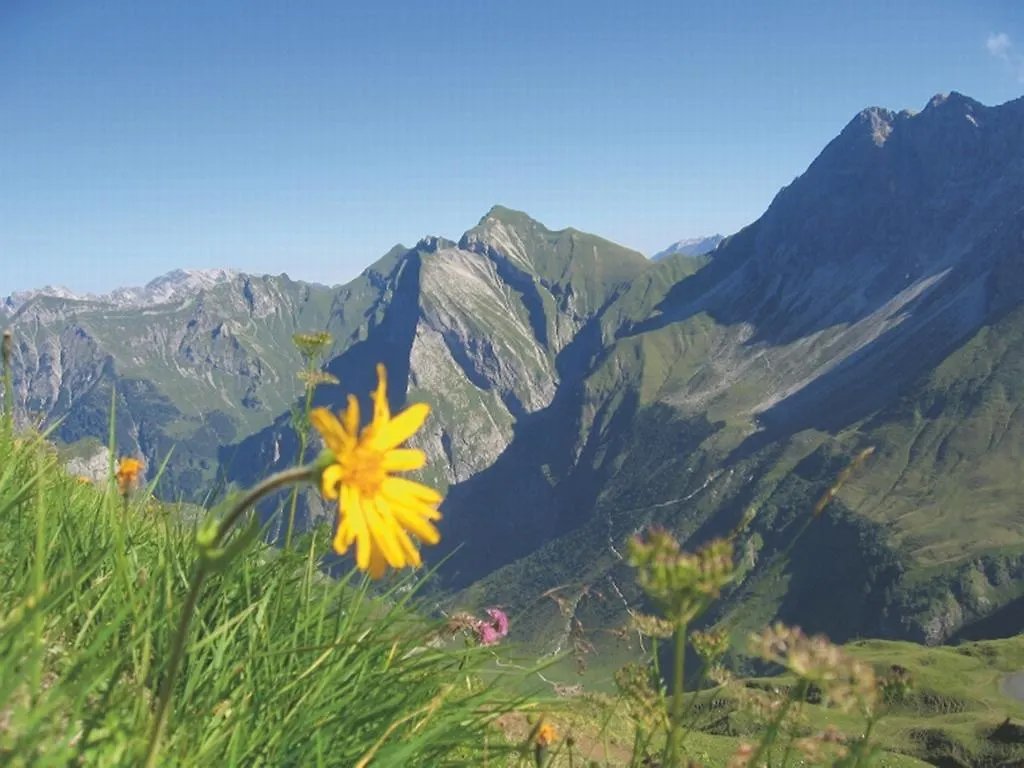 Apartment Bergzeit Ferienwohnungen Oberstdorf